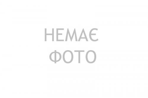Мікрофон-караоке bluetooth, в коробці, 5 кольорів, WS-858 р.24,5*9,2*8,3см.